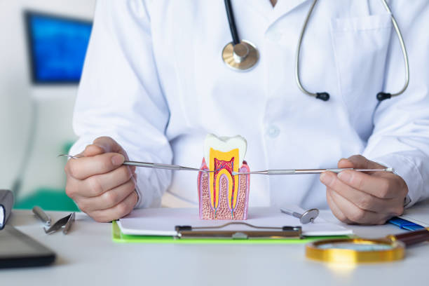 Best Emergency Denture Repair in Whitestown, IN